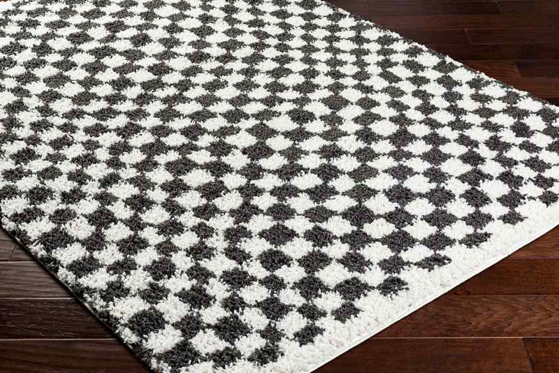 Emmitt Modern Dark Gray Area Rug