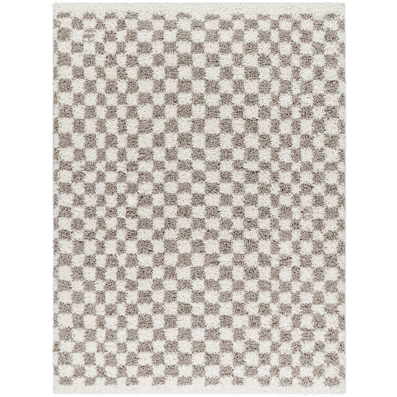 Emmitt Modern Light Gray Area Rug