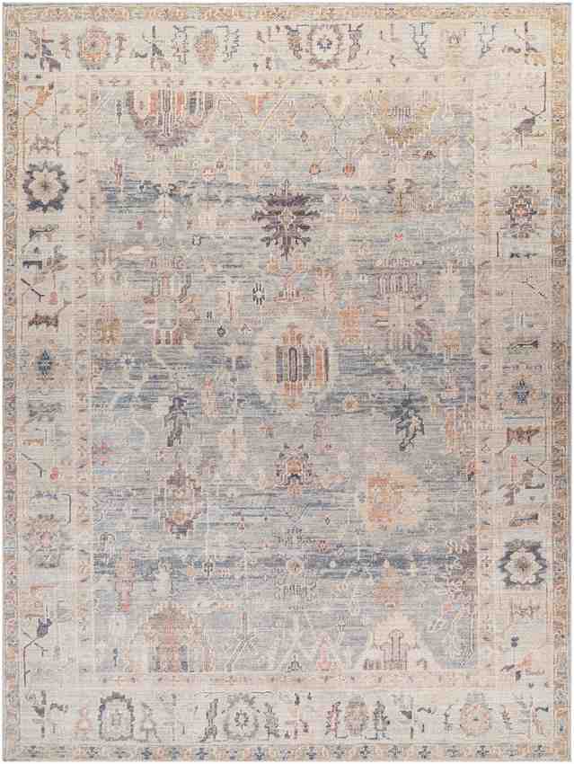 Marlene Traditional Medium Gray/Pale Blue Area Rug - Becki Owens x Livabliss