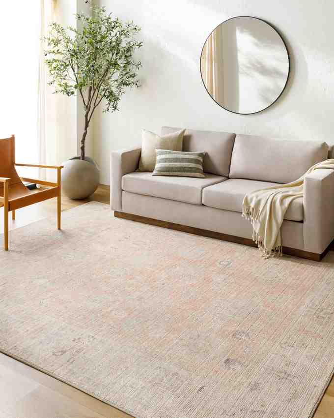 Marlene Traditional Dusty Pink Area Rug - Becki Owens x Livabliss