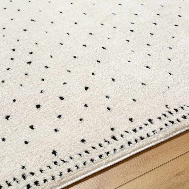 Monisha Modern Ivory/Black Area Rug