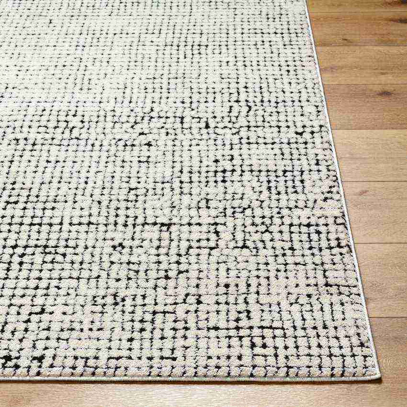 Lajoy Modern Ivory/Black Area Rug