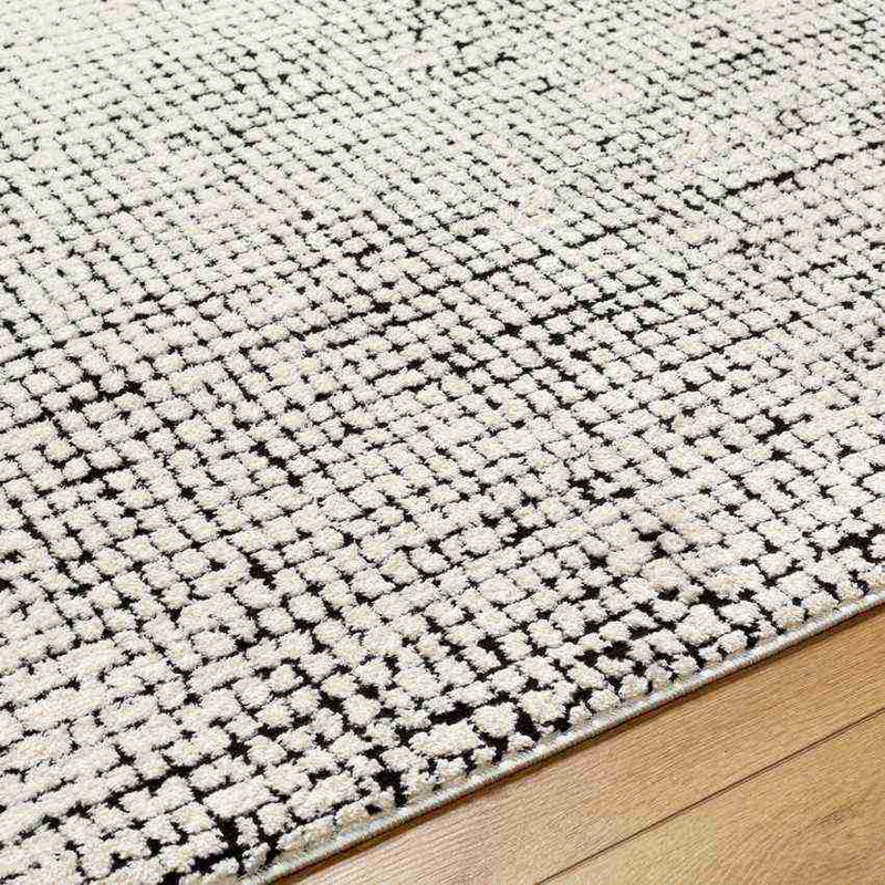 Lajoy Modern Ivory/Black Area Rug