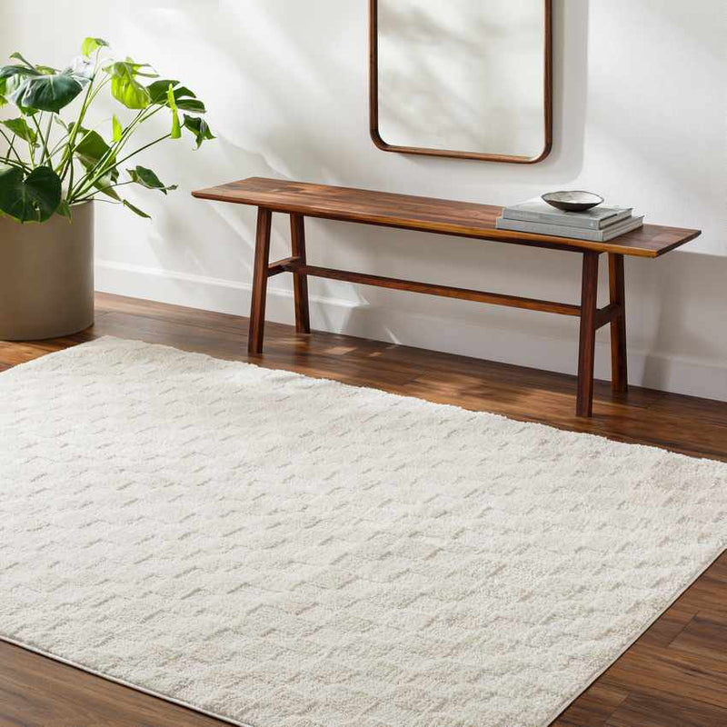 Isis Modern Off-White/Ivory Area Rug