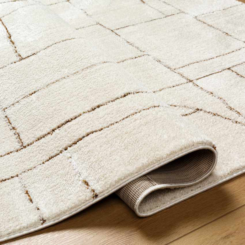 Sheritta Modern Ivory/Brown Area Rug