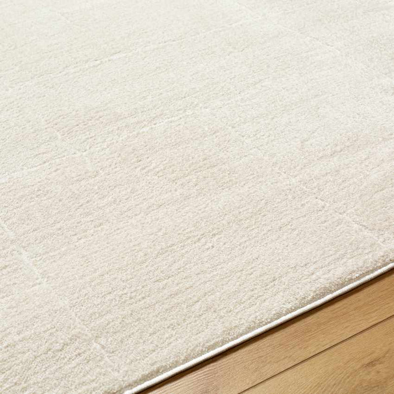 Alexsis Modern Ivory/Off-White Area Rug