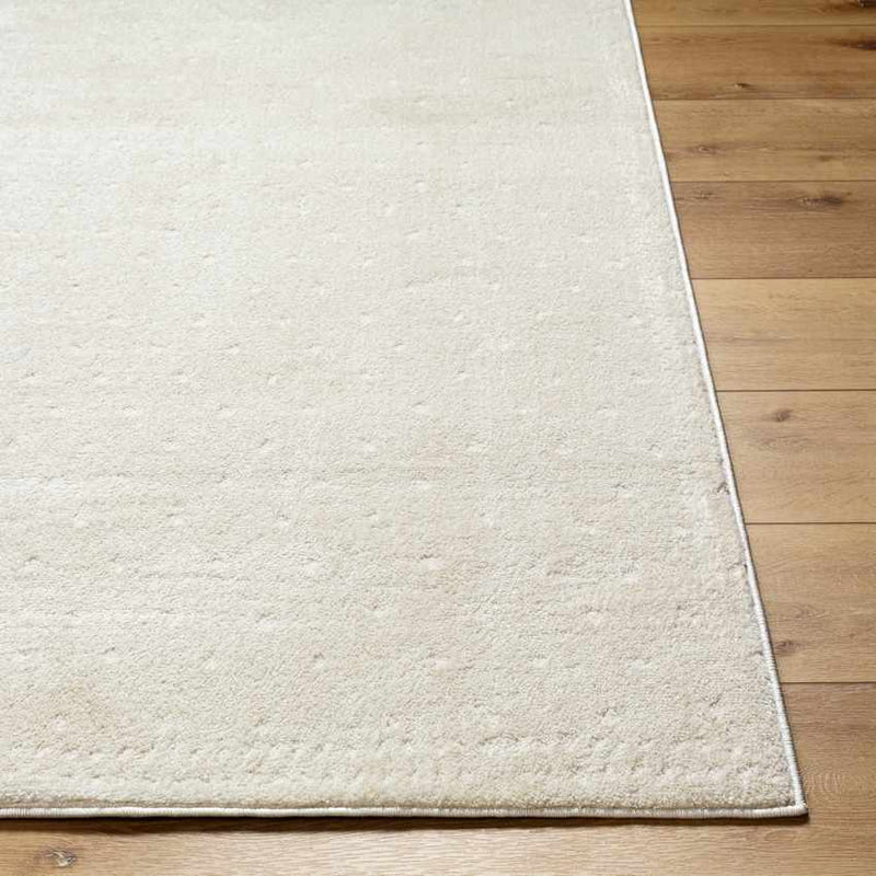 Monisha Modern Ivory/Off-White Area Rug