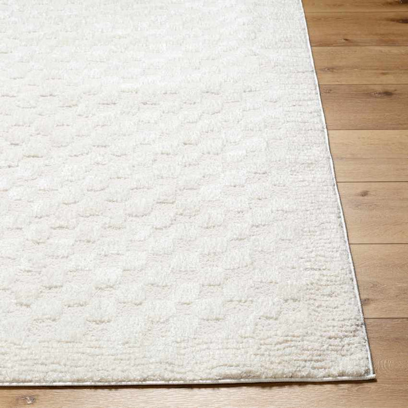 Zechariah Modern Ivory/Off-White Area Rug