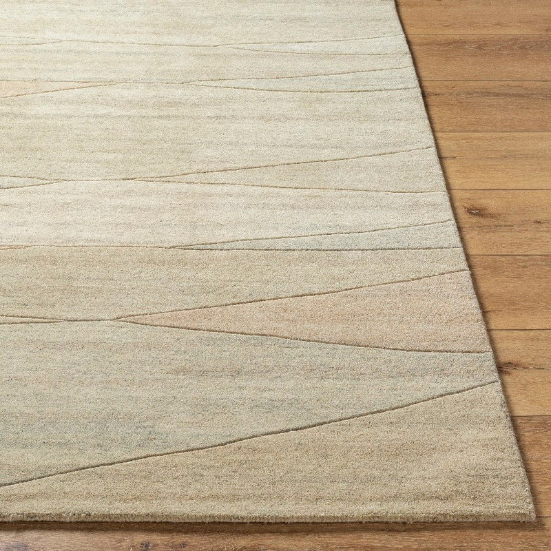 Mulhouse Modern Light Beige Area Rug