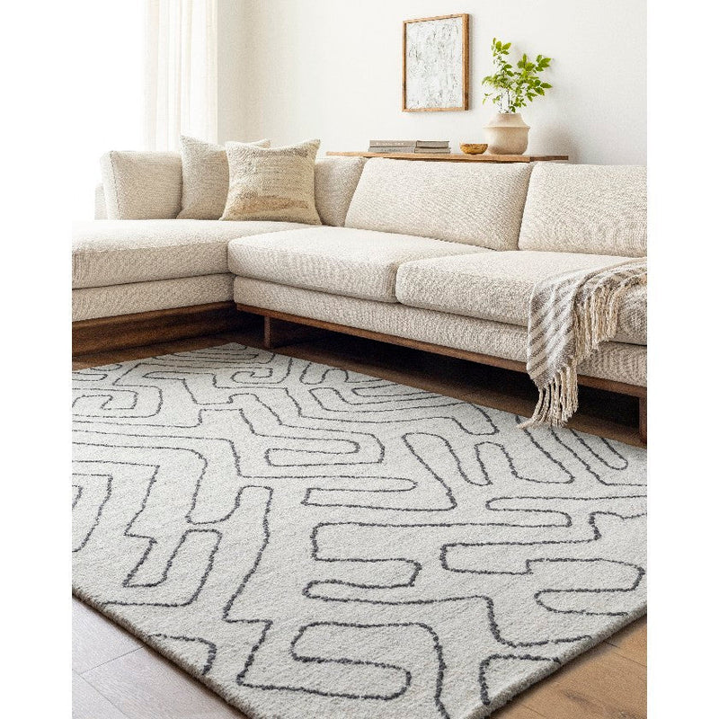 Tim Modern Ivory/Charcoal Area Rug