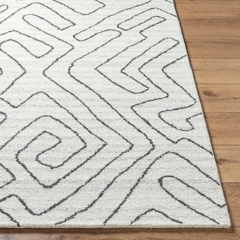 Tim Modern Ivory/Charcoal Area Rug