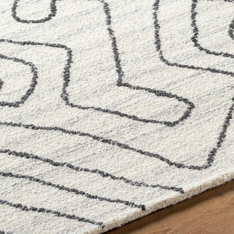 Tim Modern Ivory/Charcoal Area Rug