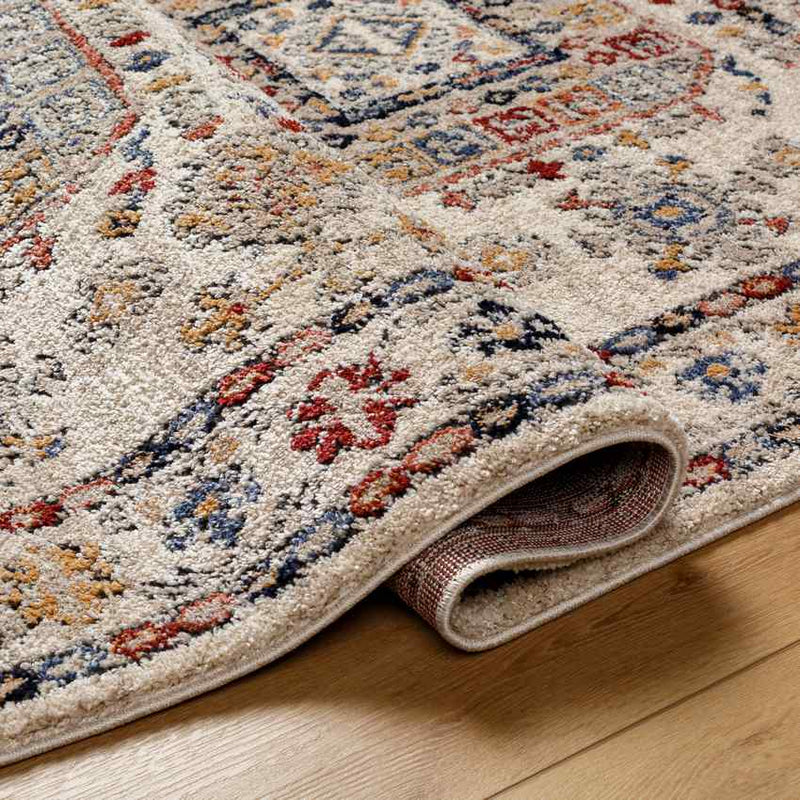 Daphna Traditional Light Beige Area Rug