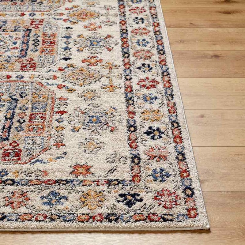 Daphna Traditional Light Beige Area Rug