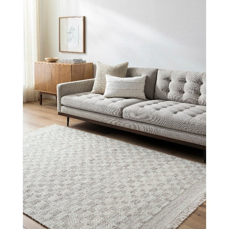 Clinten Solid and Border Light Gray Area Rug