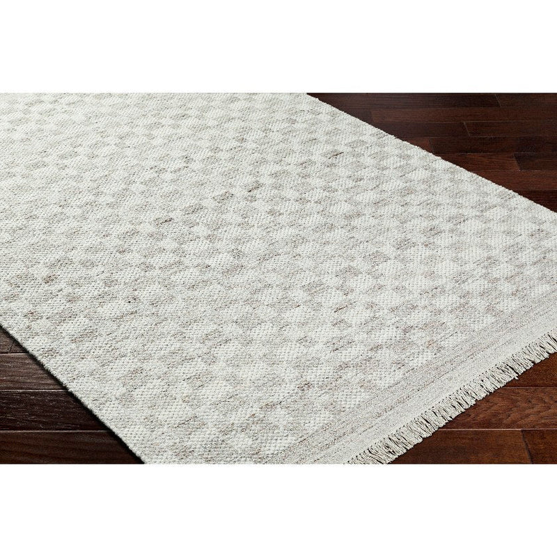 Clinten Solid and Border Light Gray Area Rug