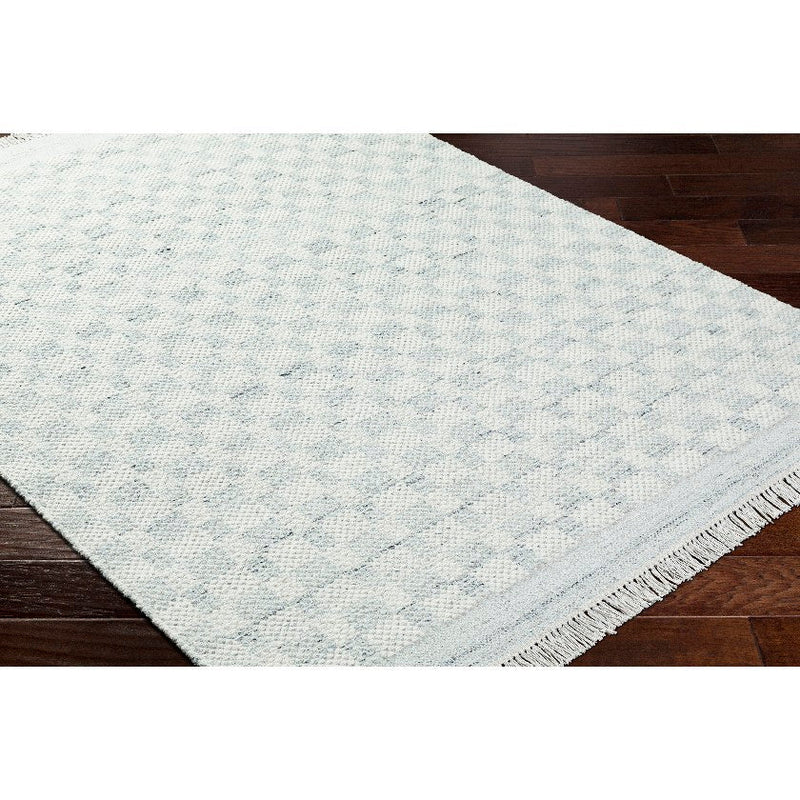 Clinten Solid and Border Light Slate Area Rug