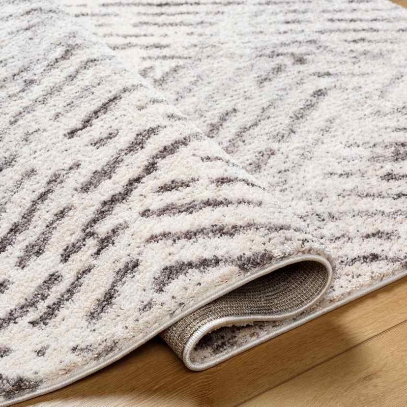 Prince Traditional Medium Gray/Light Beige Area Rug