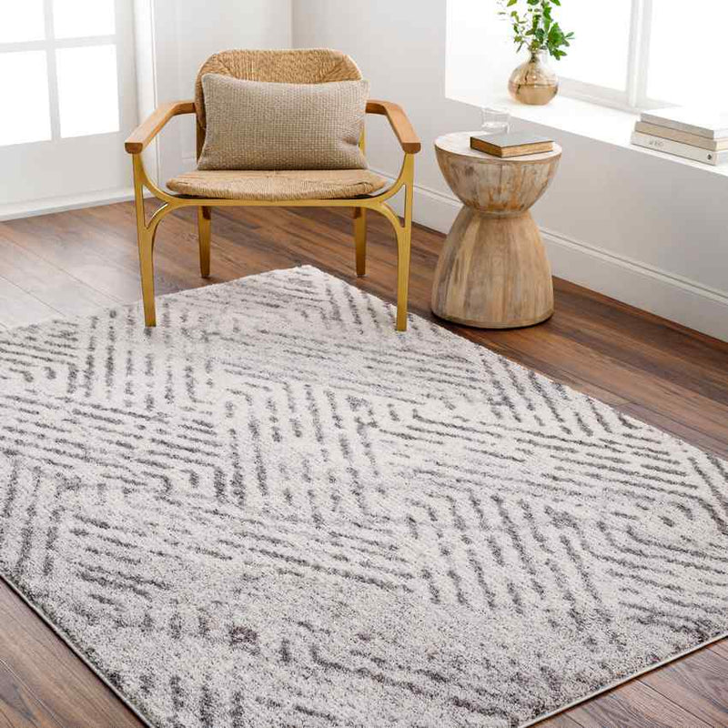 Prince Traditional Medium Gray/Light Beige Area Rug