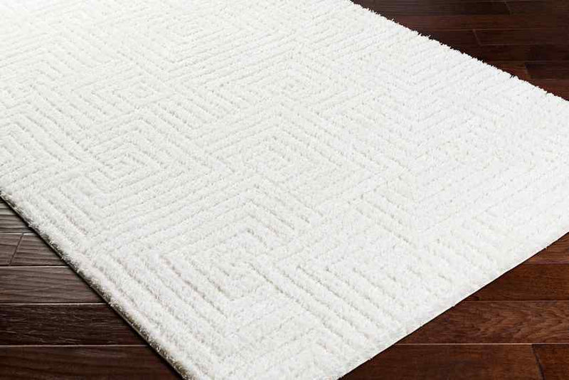 Magdiel Modern Ivory Area Rug