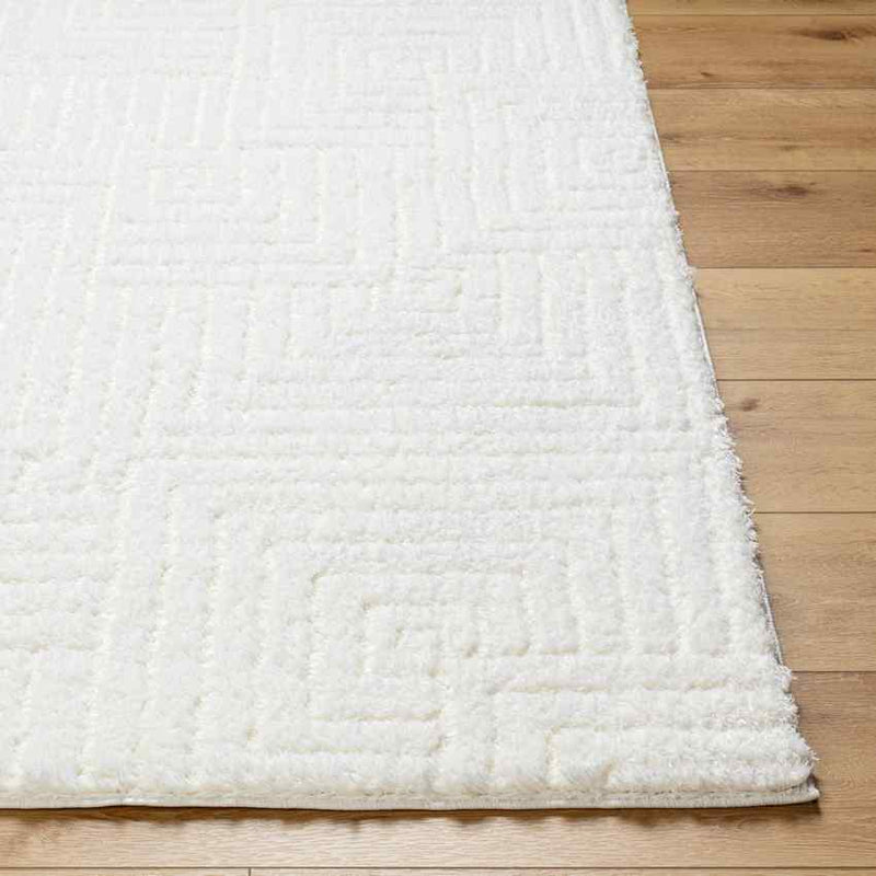 Magdiel Modern Ivory Area Rug