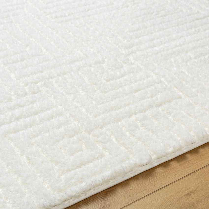 Magdiel Modern Ivory Area Rug