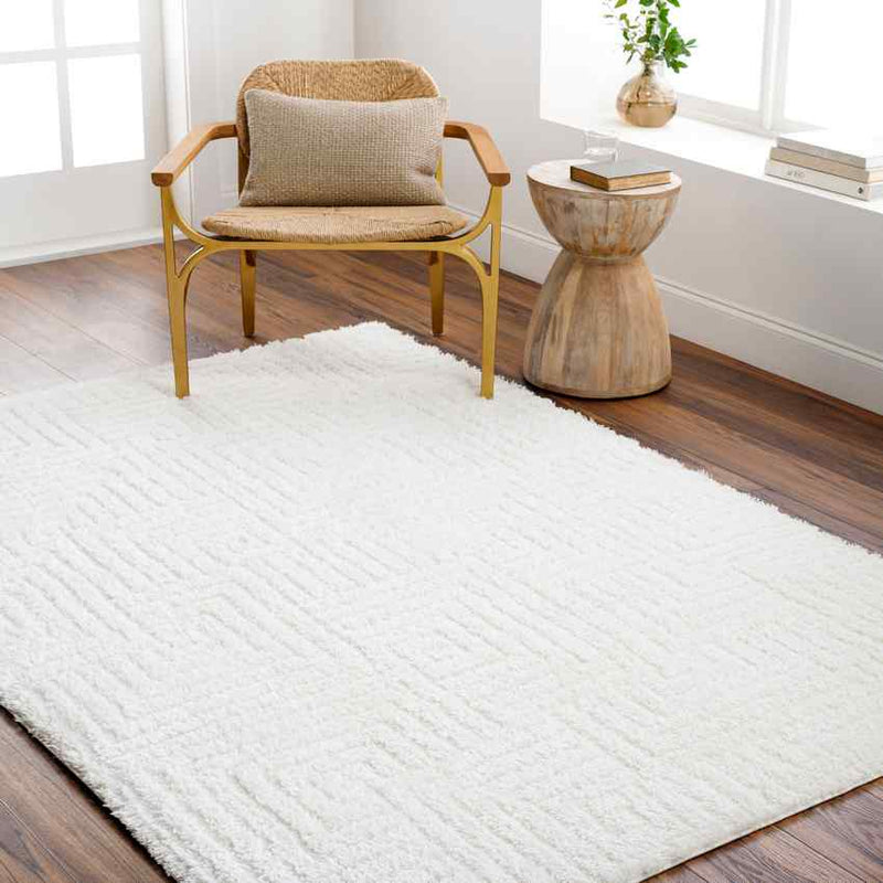 Magdiel Modern Ivory Area Rug