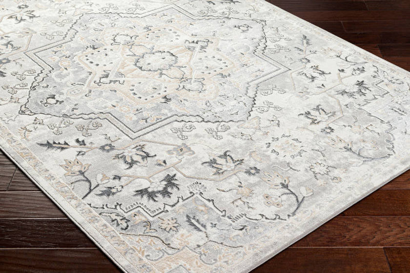 Dartagnan Traditional Light Gray Area Rug