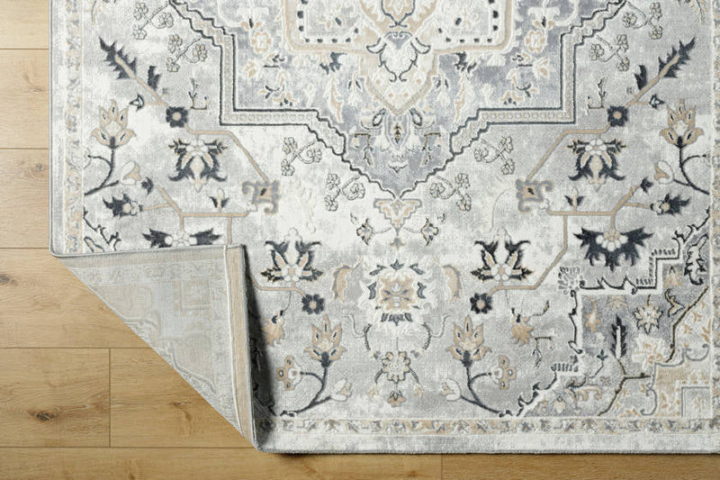 Dartagnan Traditional Light Gray Area Rug