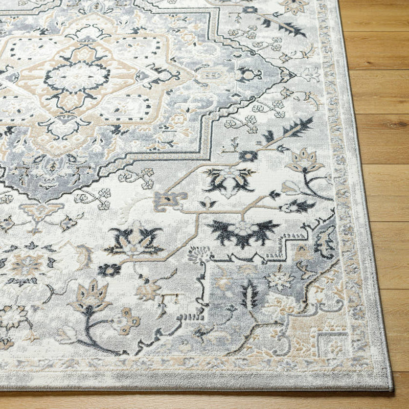 Dartagnan Traditional Light Gray Area Rug