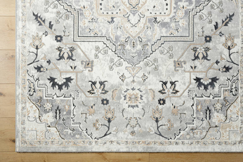 Dartagnan Traditional Light Gray Area Rug