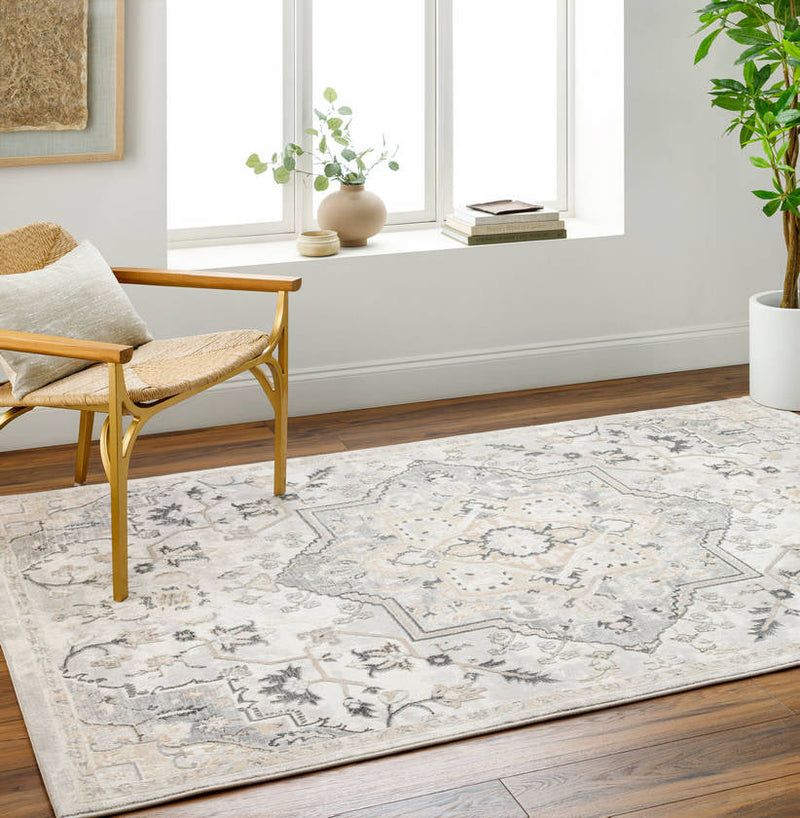 Dartagnan Traditional Light Gray Area Rug