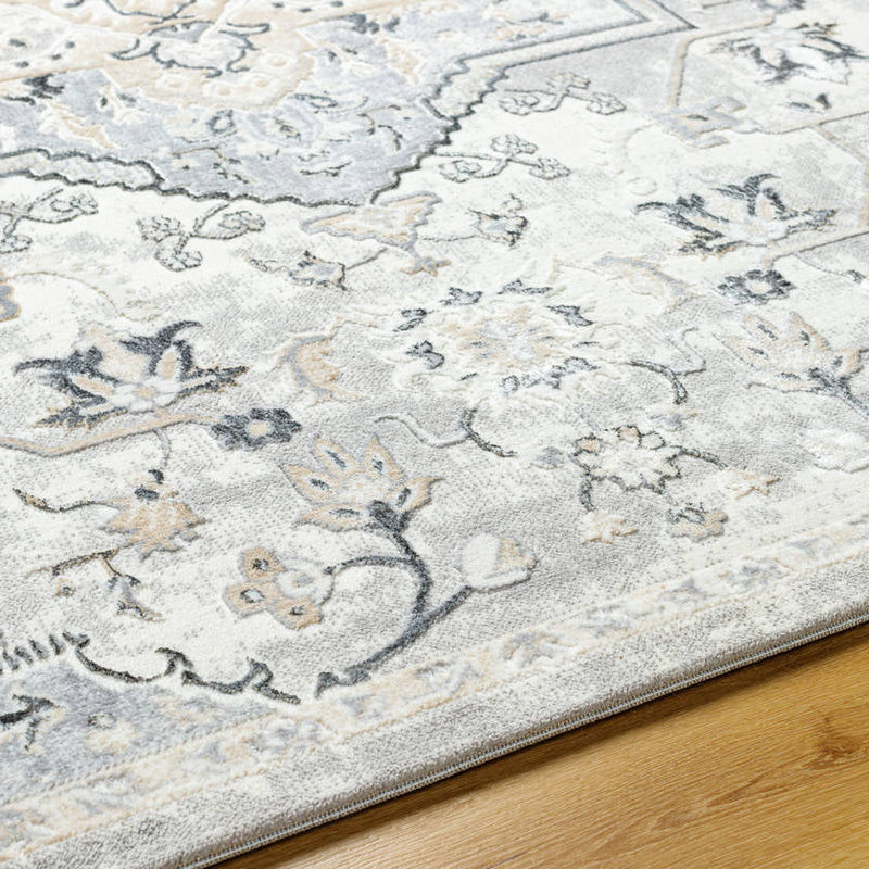 Dartagnan Traditional Light Gray Area Rug