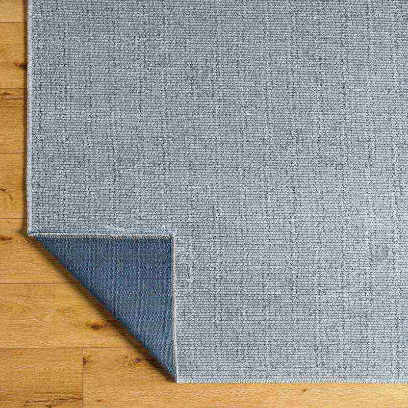 Tobey Solid and Border Light Gray Washable Area Rug