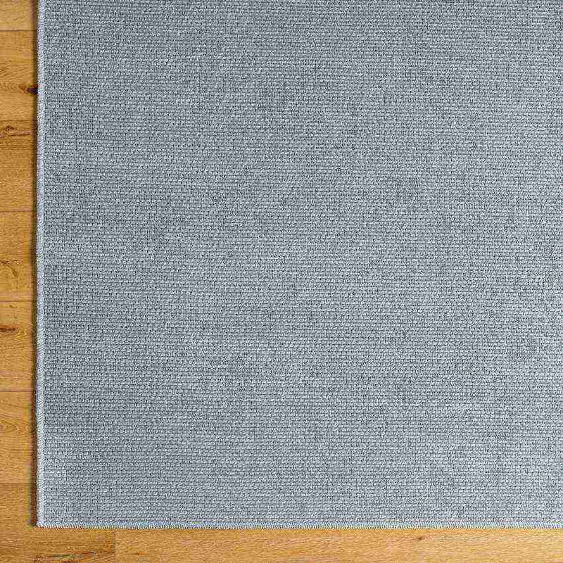 Tobey Solid and Border Light Gray Washable Area Rug