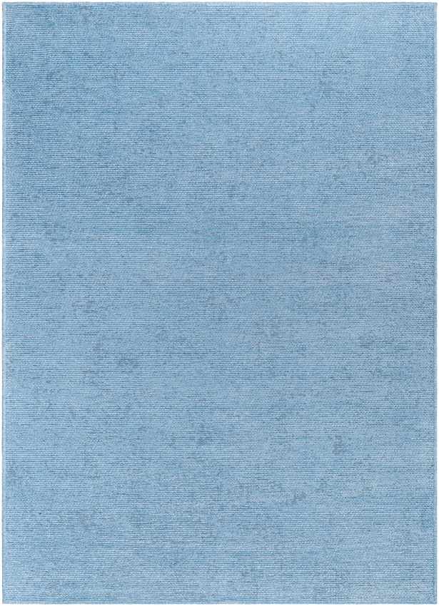 Tobey Solid and Border Pale Blue Washable Area Rug