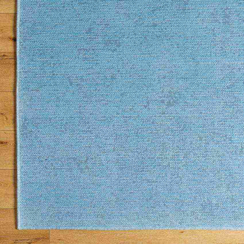 Tobey Solid and Border Pale Blue Washable Area Rug