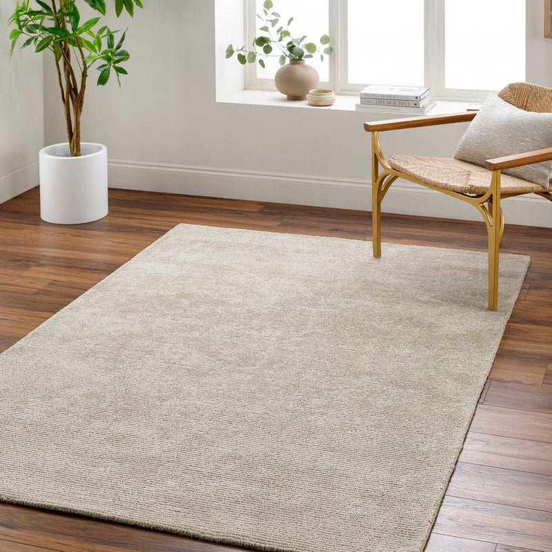 Jett Solid and Border Light Brown Area Rug