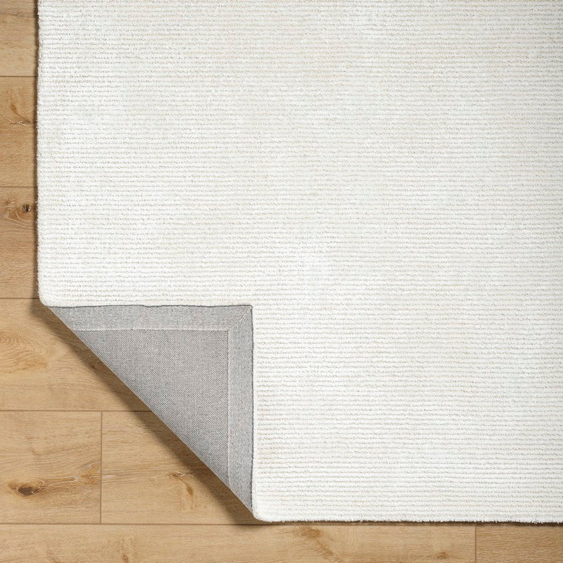 Jett Solid and Border Light Silver Area Rug