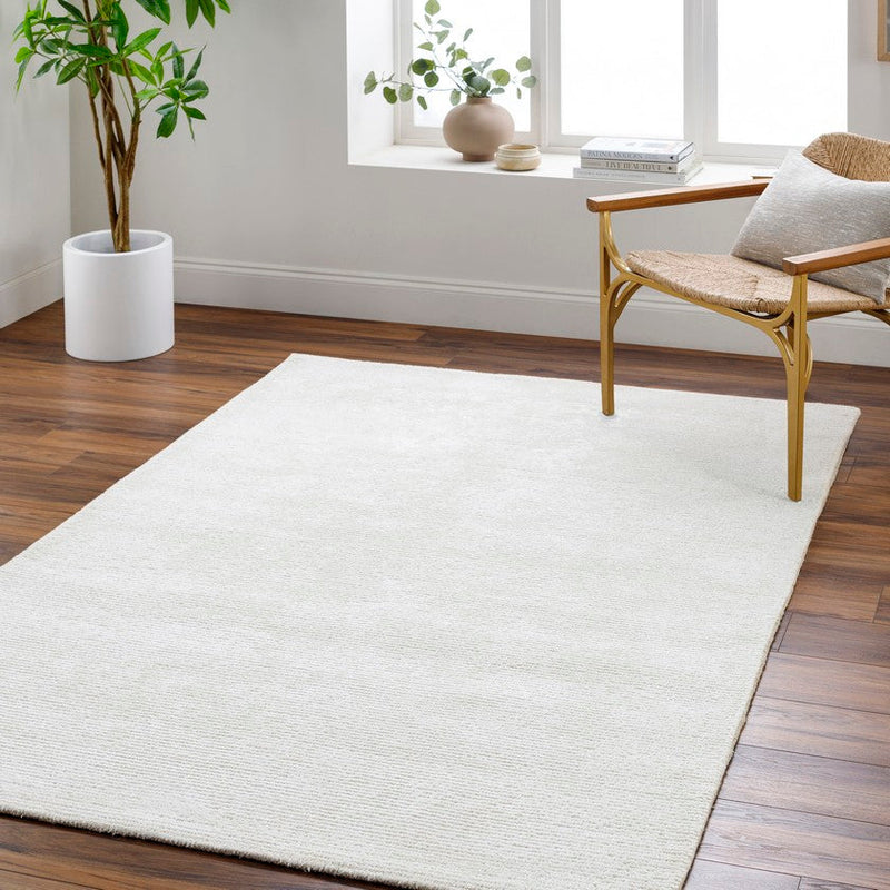 Jett Solid and Border Light Silver Area Rug