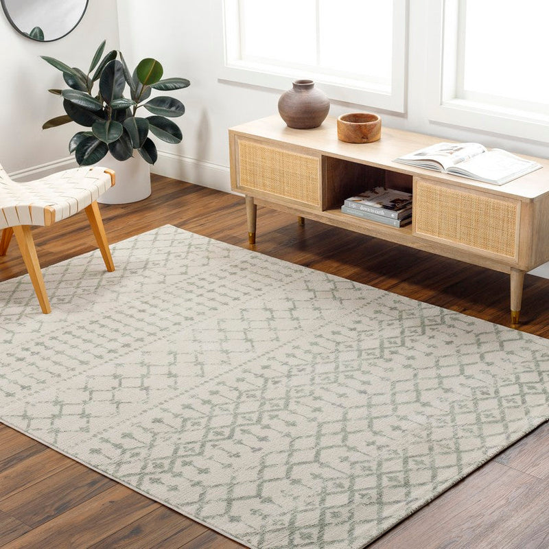 Vinkepas Global Sage Area Rug