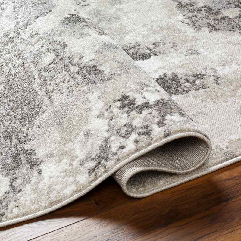 Syrena Modern Medium Gray Area Rug