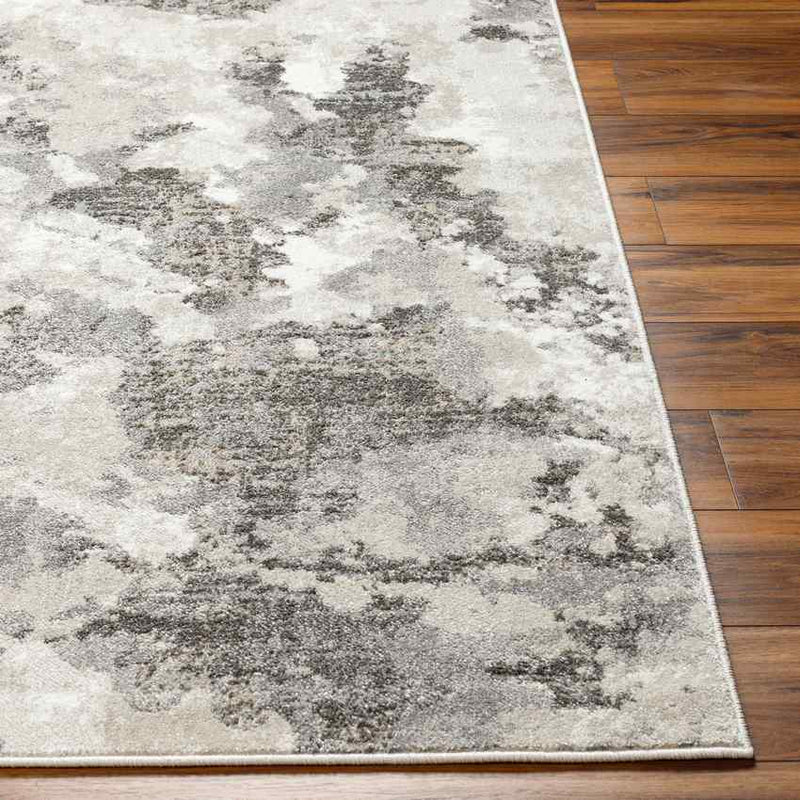 Syrena Modern Medium Gray Area Rug