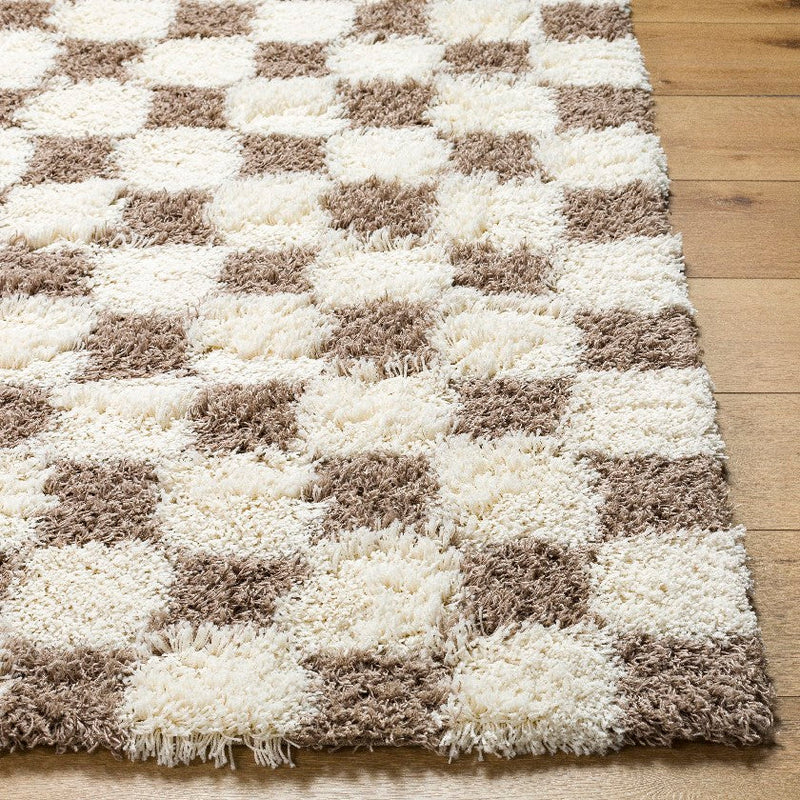 Bondurant Modern Brown Area Rug