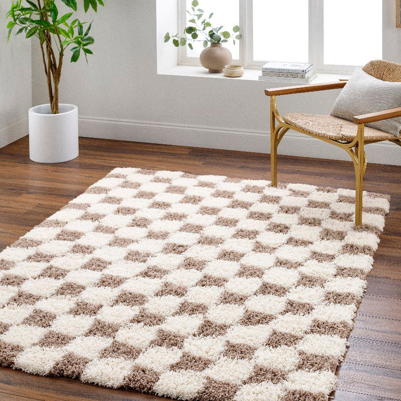 Bondurant Modern Brown Area Rug