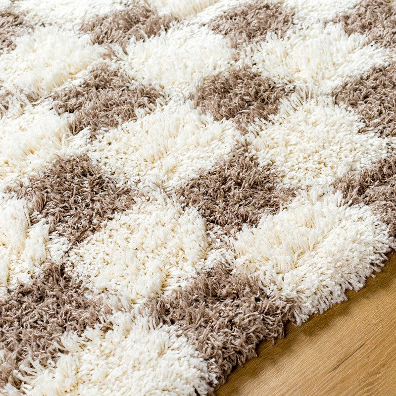 Bondurant Modern Brown Area Rug