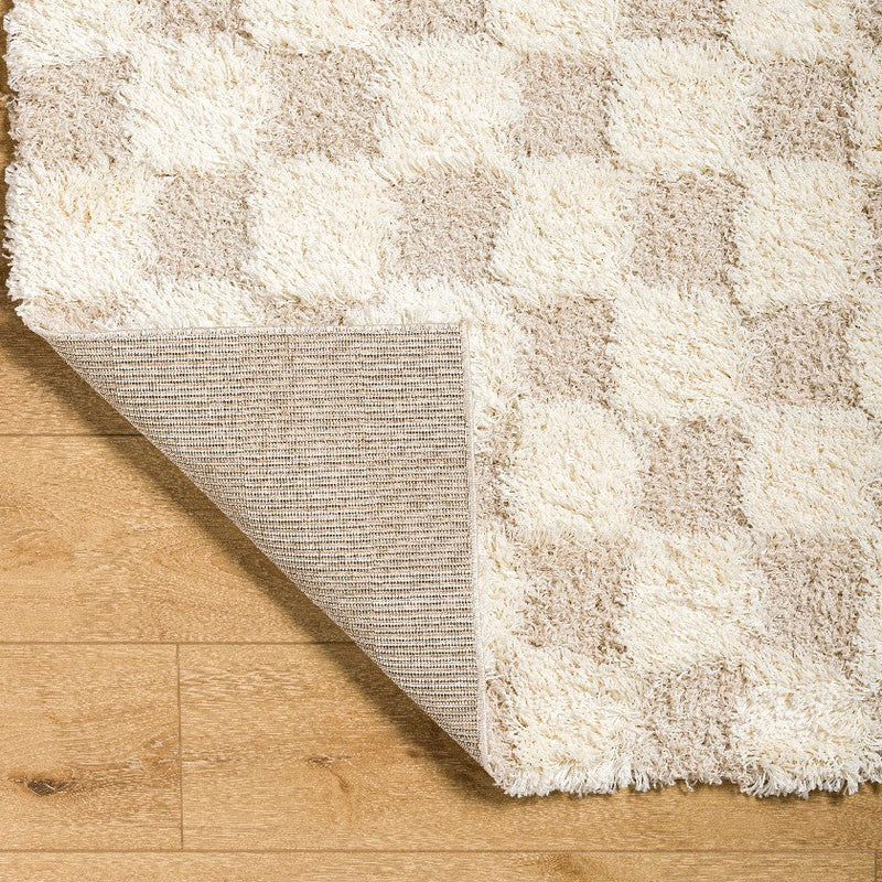 Bondurant Modern Light Beige Area Rug