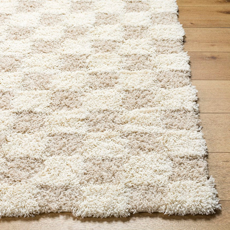 Bondurant Modern Light Beige Area Rug