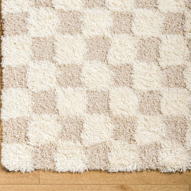 Bondurant Modern Light Beige Area Rug