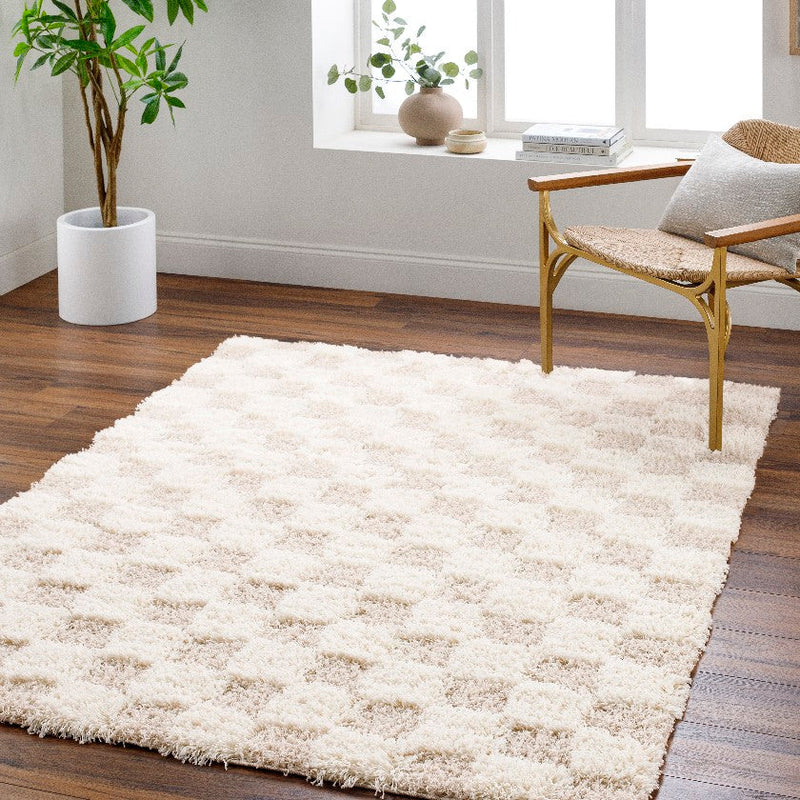 Bondurant Modern Light Beige Area Rug